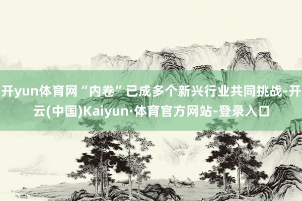 开yun体育网“内卷”已成多个新兴行业共同挑战-开云(中国)Kaiyun·体育官方网站-登录入口