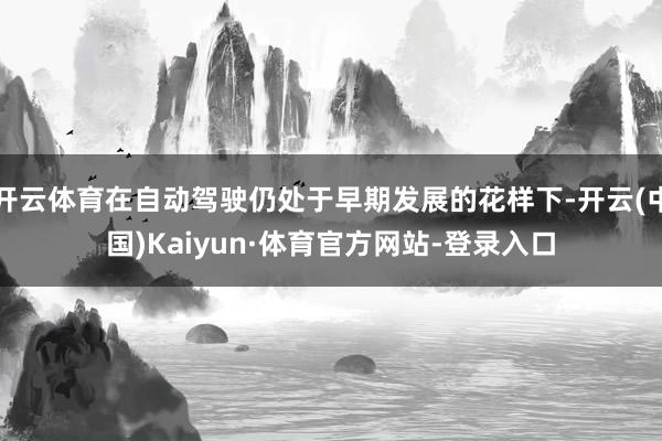 开云体育在自动驾驶仍处于早期发展的花样下-开云(中国)Kaiyun·体育官方网站-登录入口