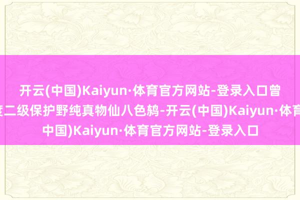 开云(中国)Kaiyun·体育官方网站-登录入口曾宪财参与环志的国度二级保护野纯真物仙八色鸫-开云(中国)Kaiyun·体育官方网站-登录入口