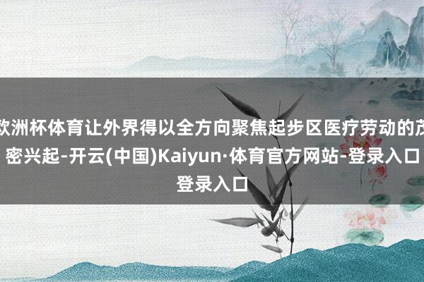 欧洲杯体育让外界得以全方向聚焦起步区医疗劳动的茂密兴起-开云(中国)Kaiyun·体育官方网站-登录入口